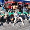 pict9910 20130915 1168866060
